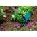 Тяпка садовая 9 см 03219-20 garden-sale.ru